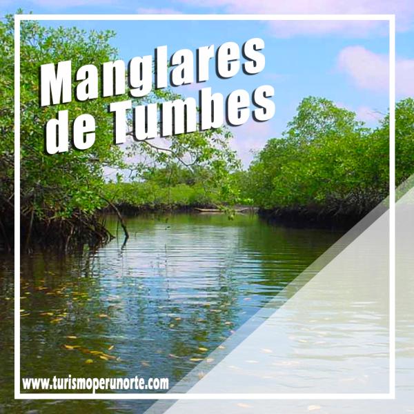 Manglares de Tumbes